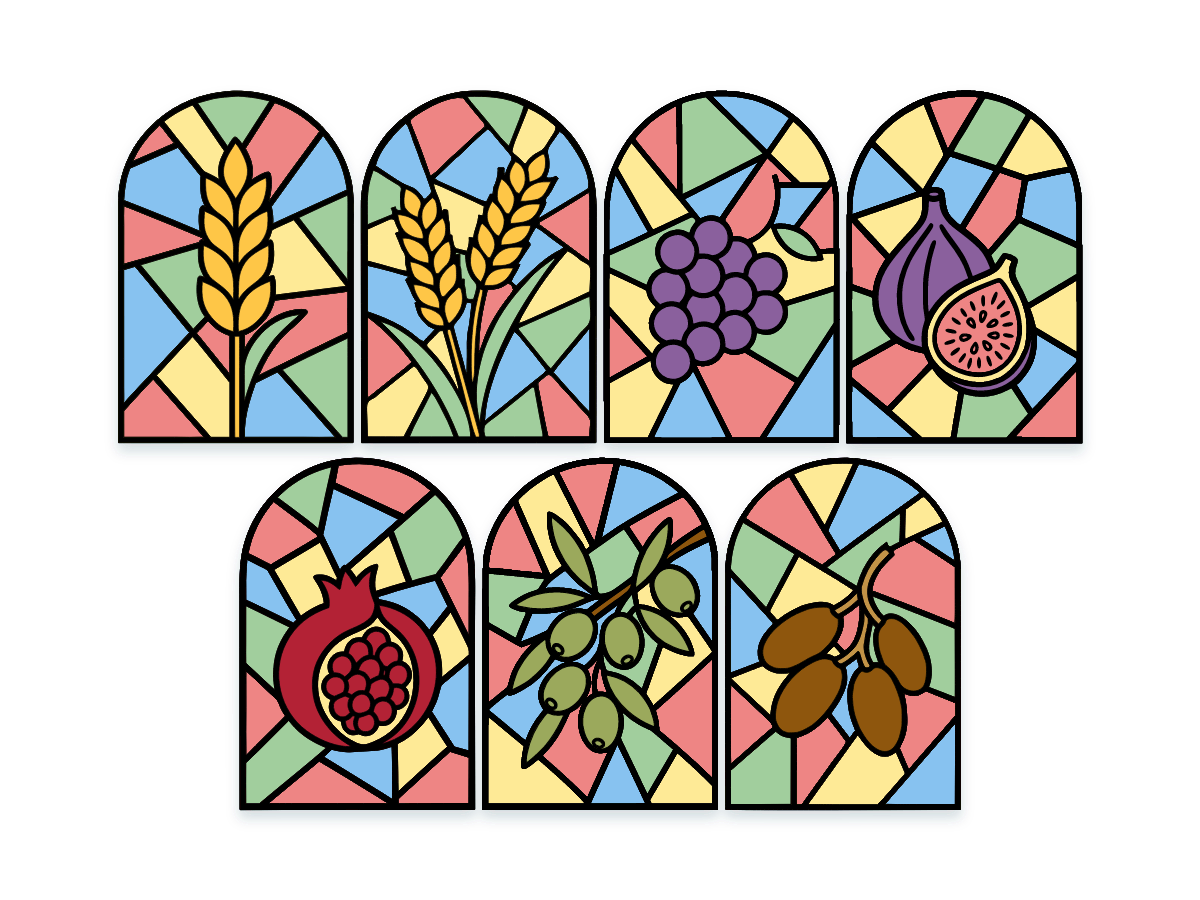 Stained Glass Shivas Haminim preview